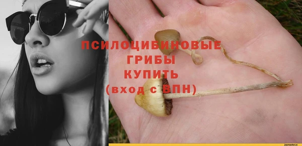 каннабис Белокуриха