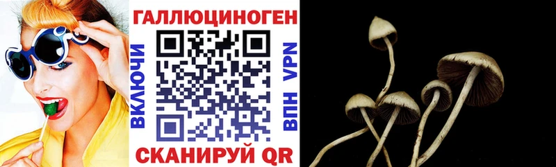 Галлюциногенные грибы мицелий  наркота  Корсаков 