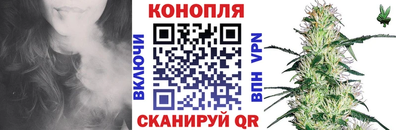 Канабис сатива Корсаков